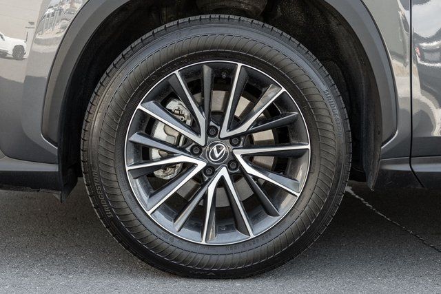 2024 Lexus NX 350h Premium photo