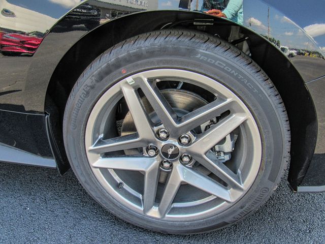 Photo of 2025 Ford Mustang GT Premium in Dallas, GA - 6,  2025 Ford Mustang GT Premium:167099