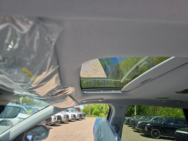 Palisade SEL Premium