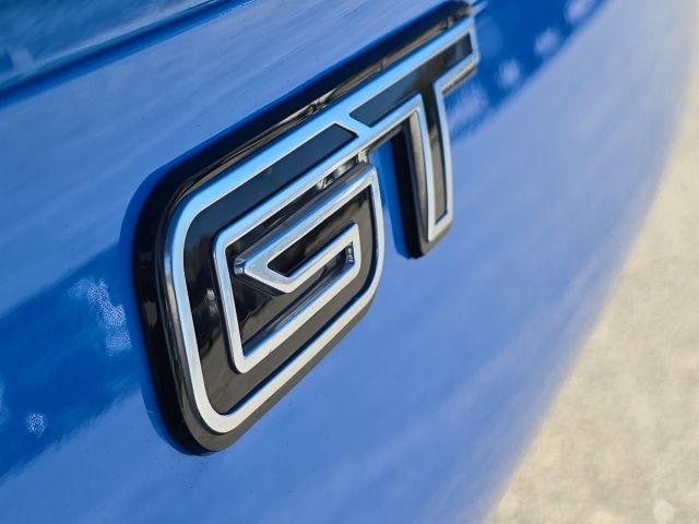 2022 Ford Mustang Mach-E GT:167099A