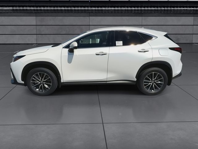 2025 Lexus NX - $42,888