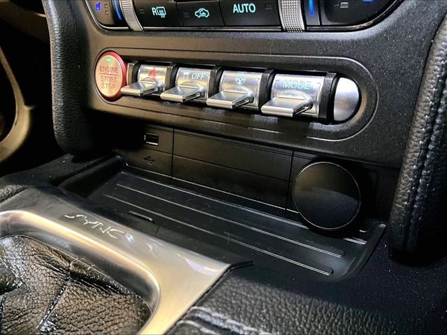 2020 Ford Mustang GT Premium Gray at Bob Ruth Ford