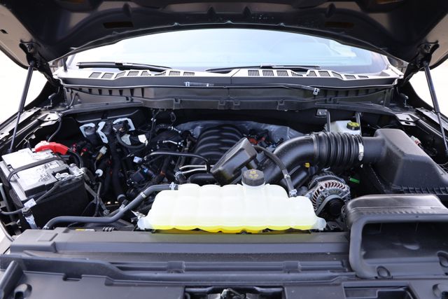 2026 Ford F-150 Tremor - 9