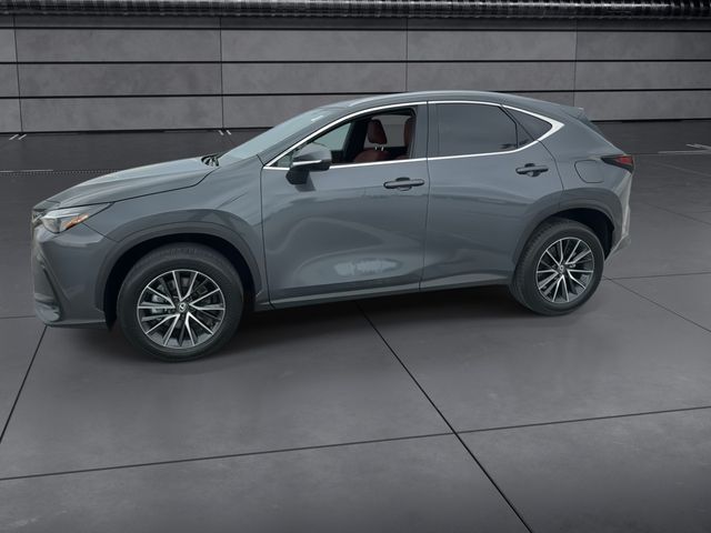 2024 Lexus NX - $40,998