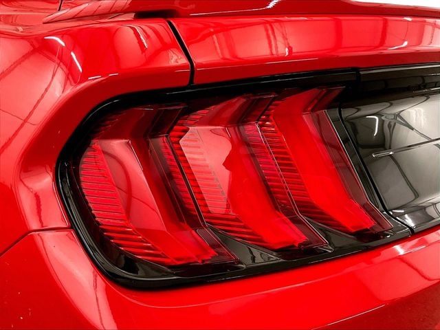 2019 Ford Mustang GT Red at Grove City Ford