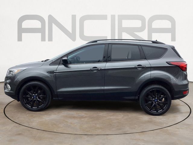 Used Car 2019 Ford Escape  Se For Sale Under $15,000 In San Antonio, Texas