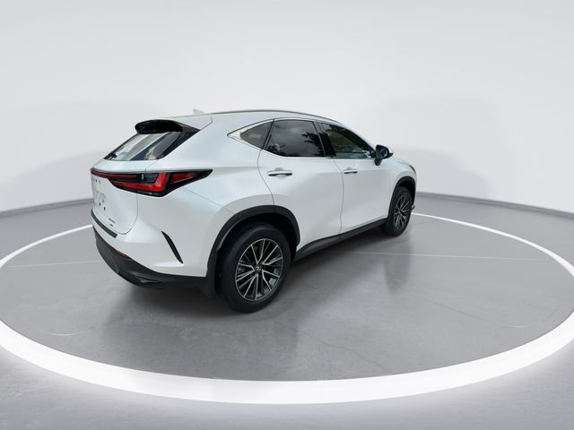 2024 Lexus NX - $40,998