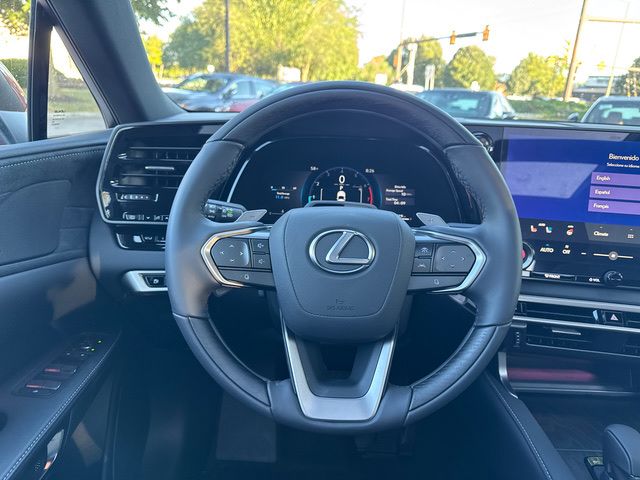 2025 Lexus RX 350 Luxury photo 17