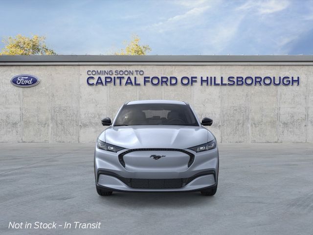 New 2026 Gray Ford Select image 6