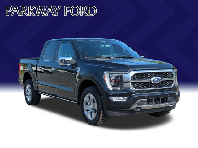 Used 2023 Black Ford Platinum image 7