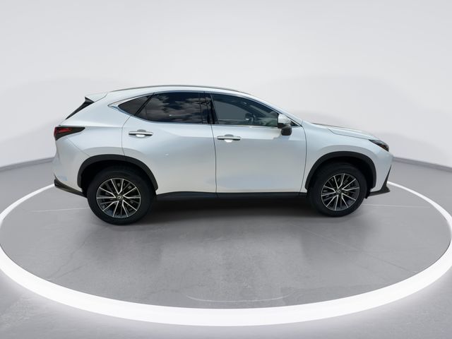 2024 Lexus NX 250 - Photo 9