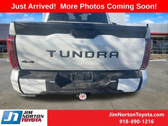 2024 Toyota Tundra Platinum 6