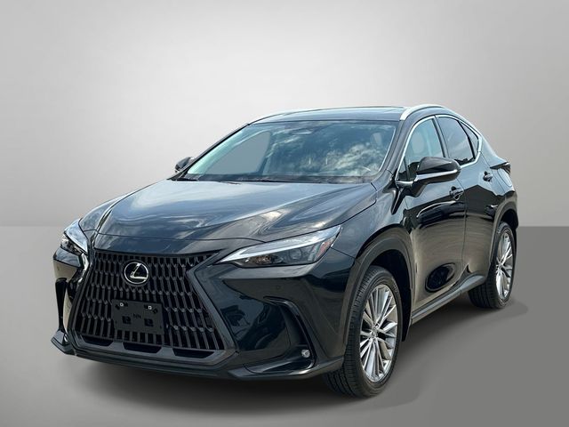 2023 Lexus NX 350h Premium