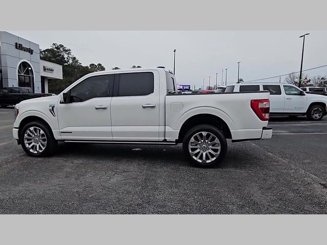 2023 Ford F-150 Limited