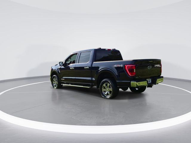 Used 2023 Blue Ford XLT image 6