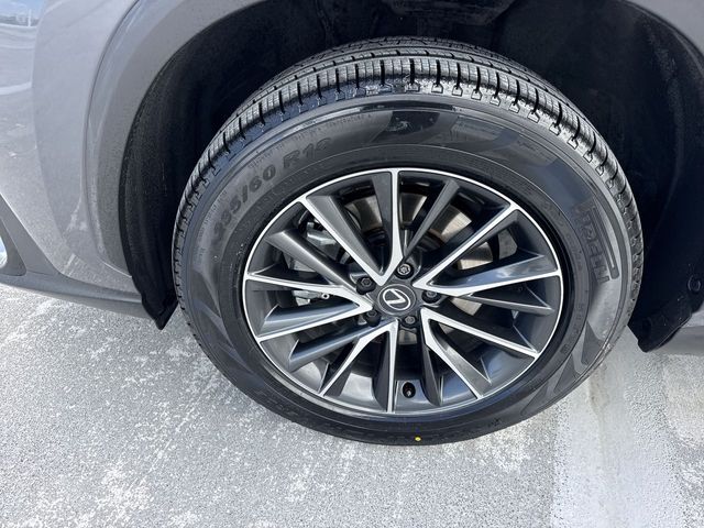 Used 2025 Lexus NX SUV