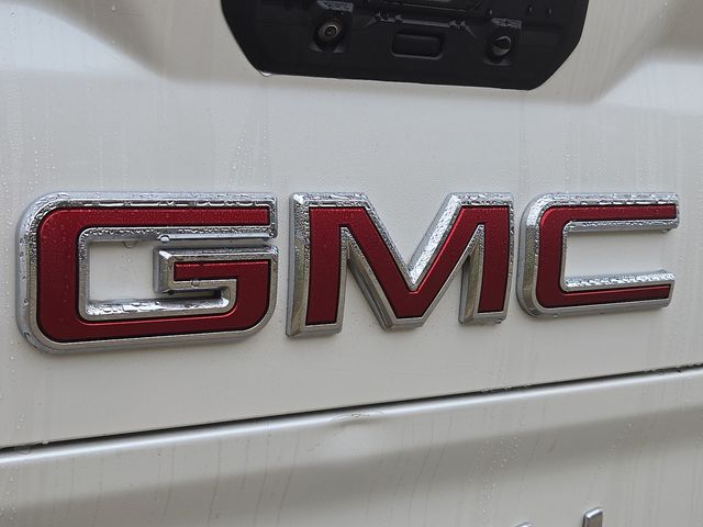 2020 GMC Sierra 1500 Denali 29