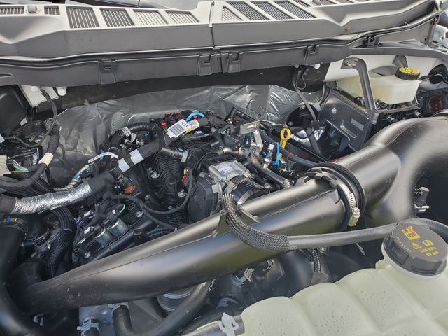 2024 Ford F-150 XLT photo