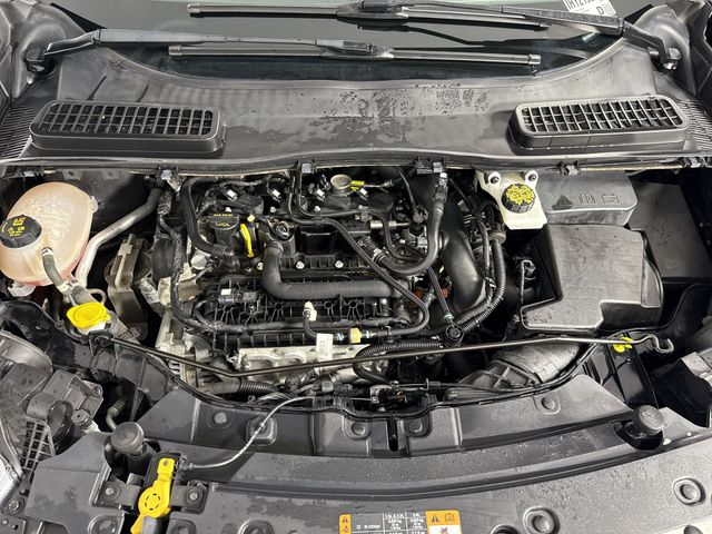 Used 2019 Ford Escape For Sale in Indianapolis, IN