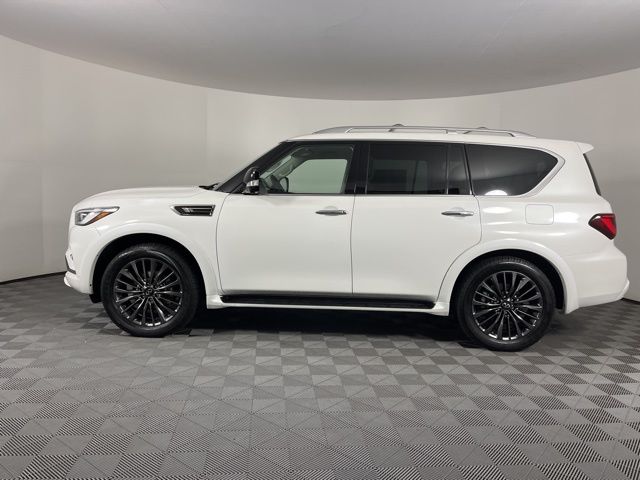 2023 INFINITI QX80 Premium Select 6