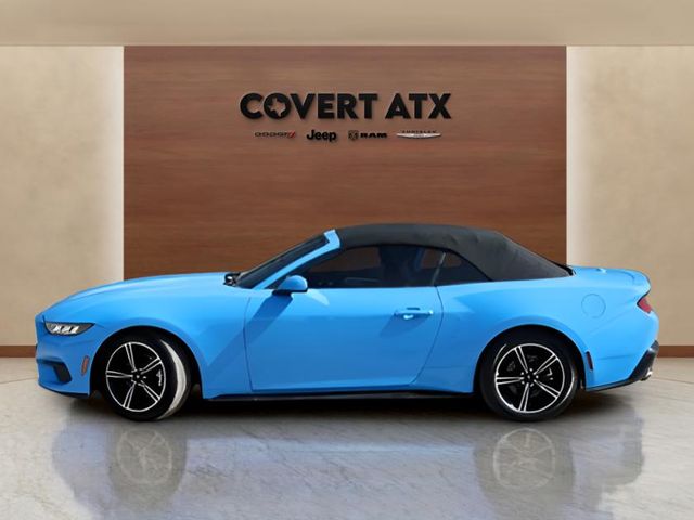 Used Car 2025 Ford Mustang  Ecoboost Premium For Sale Under $40,000 In Austin, Texas