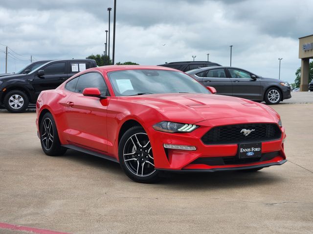 2023 Ford Mustang EcoBoost photo