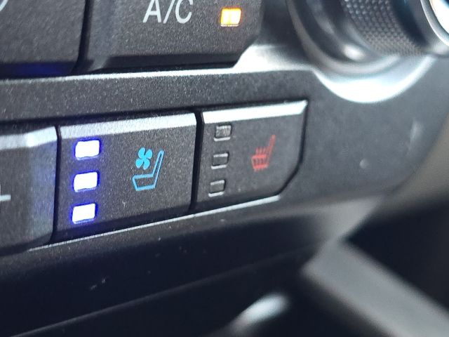 Photo of 2019 Ford F-150 Limited in Dallas, GA - 38,  2019 Ford F-150 Limited:166801A