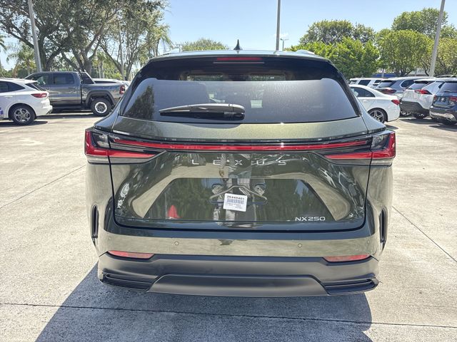 2025 Lexus NX - $40,998