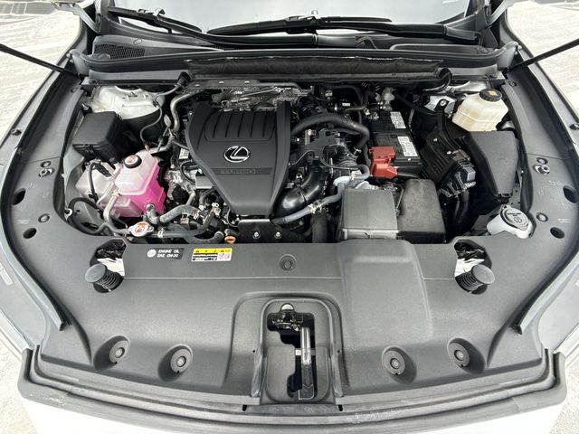 Used 2025 Lexus RX SUV