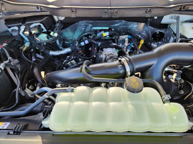 2025 Ford F-150 STX photo