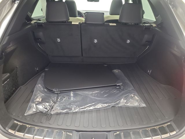 2024 – Lexus – NX