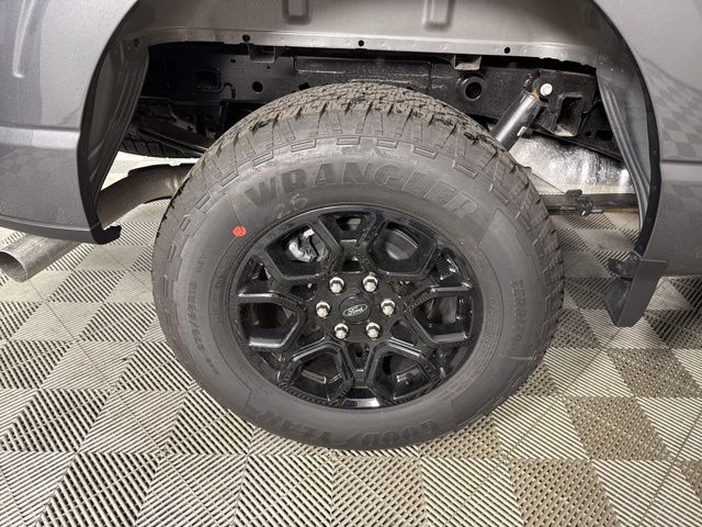 2025 Carbonized Gray Metallic Ford F-150 XLT 4X4 Truck