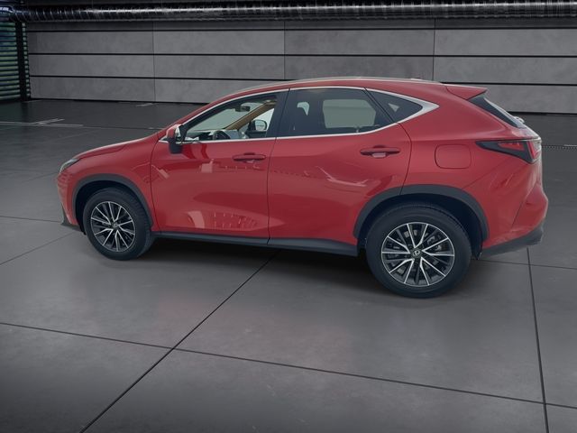 2025 Lexus NX - $49,998