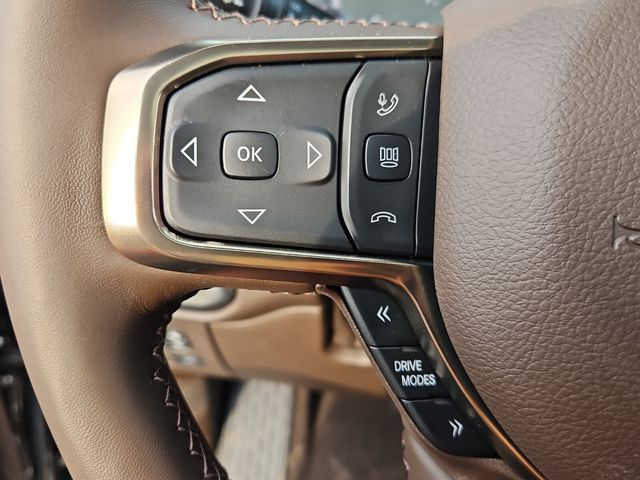 New 2026 Gray Ram Longhorn image 23