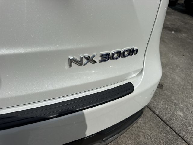 2019 Lexus NX - $25,998