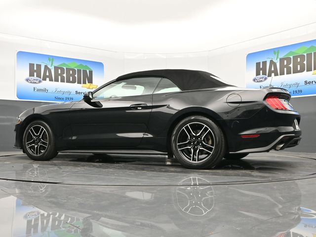 2021 Ford Mustang EcoBoost Premium photo