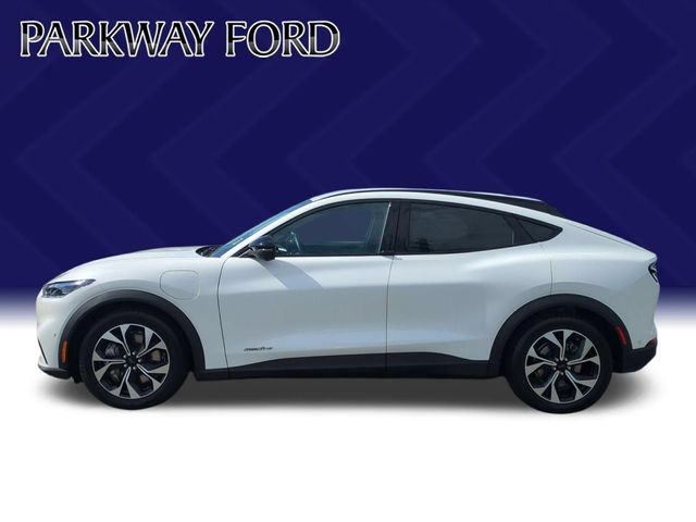 Used 2024 White Ford Select image 2