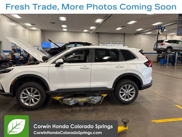 Platinum White Pearl 2024 Honda CR-V SUV / Crossover All-Wheel Drive Continuously Variable Transmission