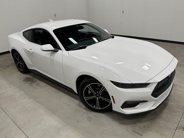 2025 Ford Mustang EcoBoost photo