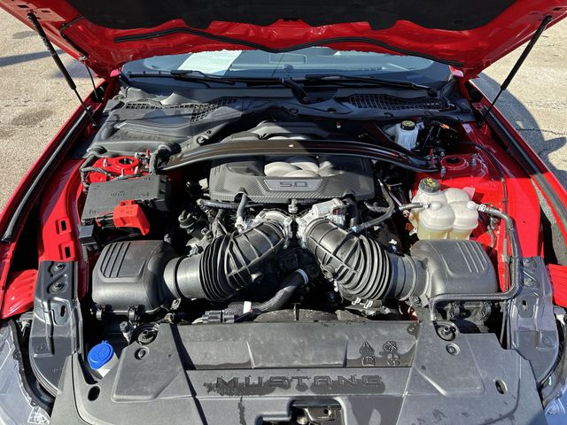 Certified Used 2025 Red Ford GT Premium image 19