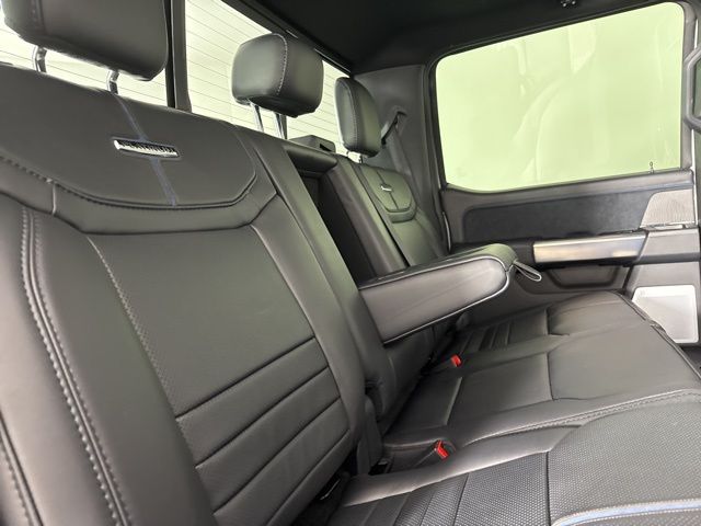 2025 Avalanche Ford Super Duty F-250 SRW Platinum 4X4 Truck