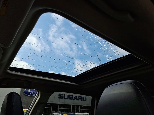 2019 Subaru Forester Limited Gray at Rafferty Subaru