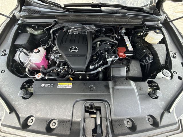 Used 2025 Lexus RX SUV