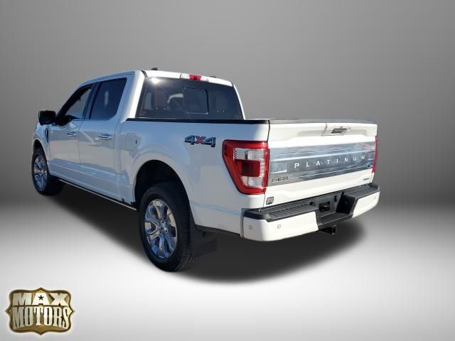 2022 Ford F-150 Platinum 7