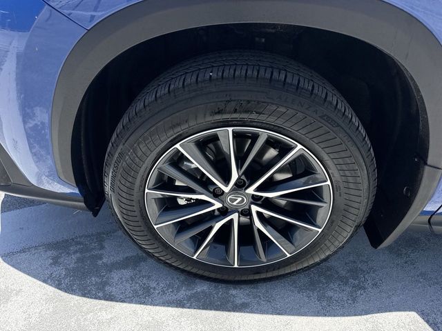 Used 2025 Lexus NX SUV