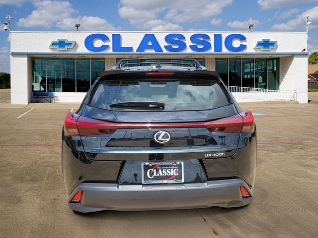 2025 Lexus UX 300h - 5