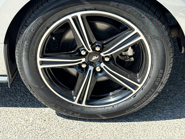 Used 2024 Silver Ford EcoBoost Premium image 9