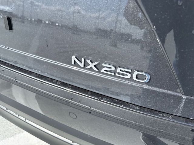 2025 Lexus NX - $39,998