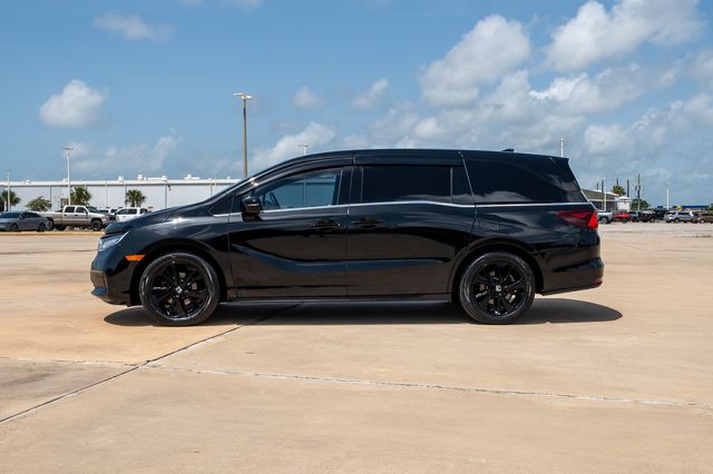 2023 Honda Odyssey Sport Blue at Classic Elite Chevrolet Sugar Land