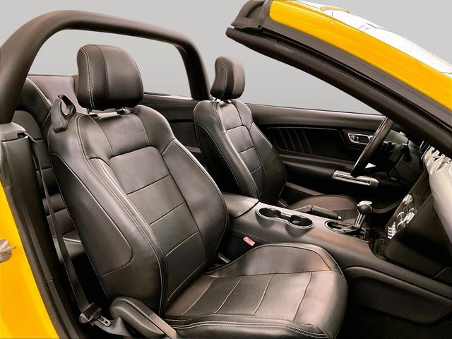 2015 Ford Mustang EcoBoost Premium - 7